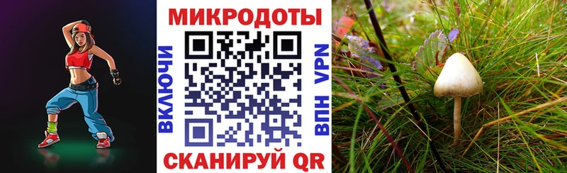 Галлюциногенные грибы мухоморы  Купить  Заводоуковск 